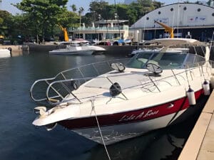 Cranchi 39 – Vista de proa