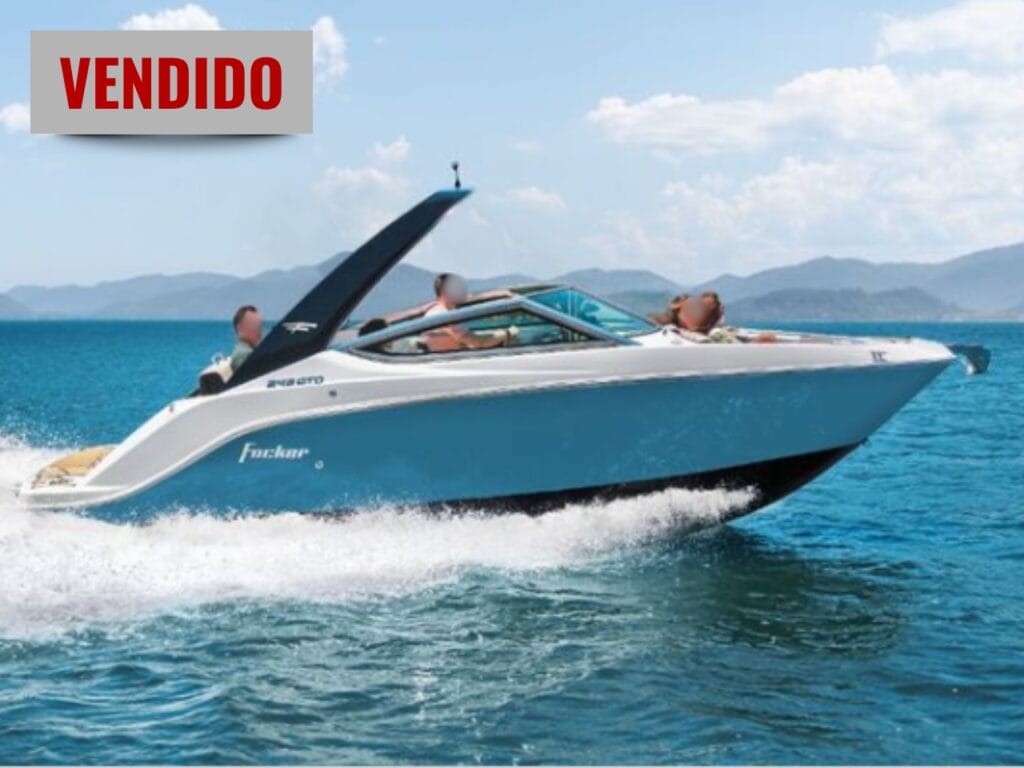 Focker 255 GTO – Perfil Externo